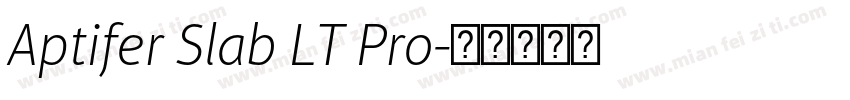Aptifer Slab LT Pro字体转换
